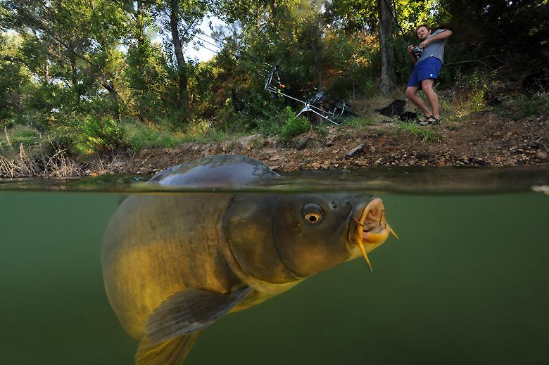 nice things  - carp-fishing-002.jpg